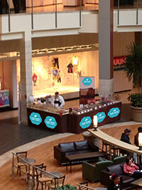 Blue Moose mall pic