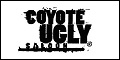 /franchise/Coyote-Ugly-Saloon